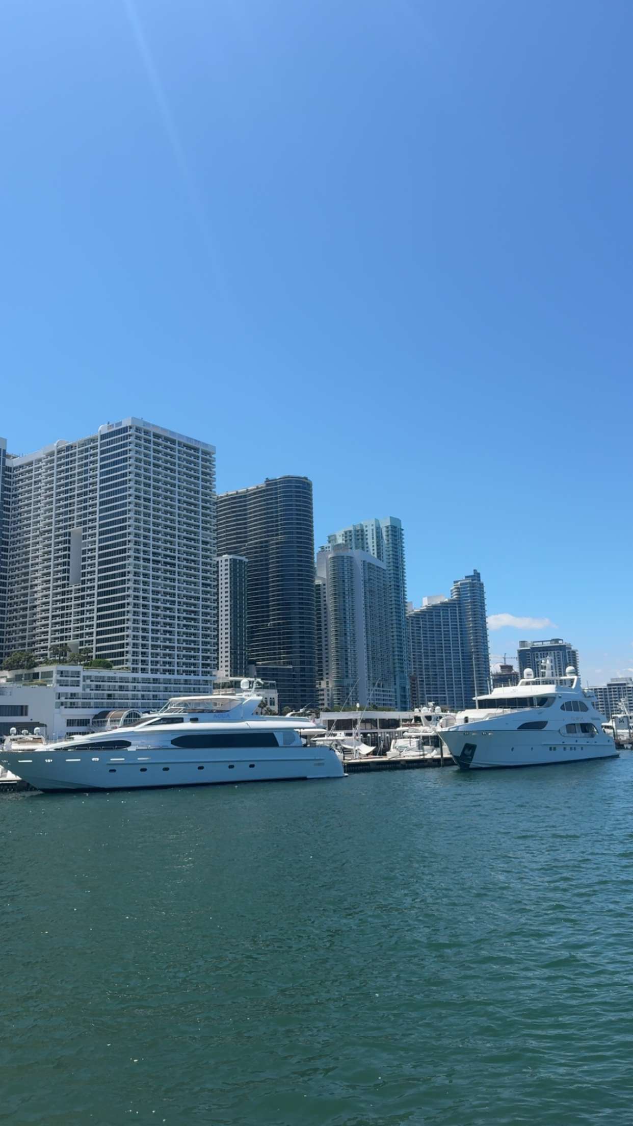 bellarenaldii snapchat image archive image