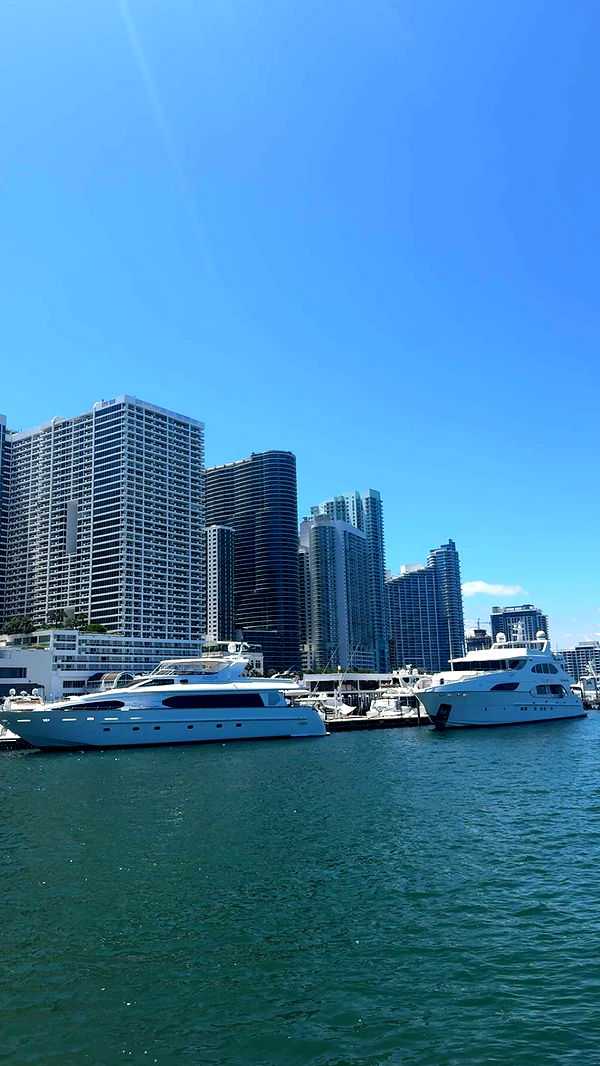 bellarenaldii image ~ Altpins