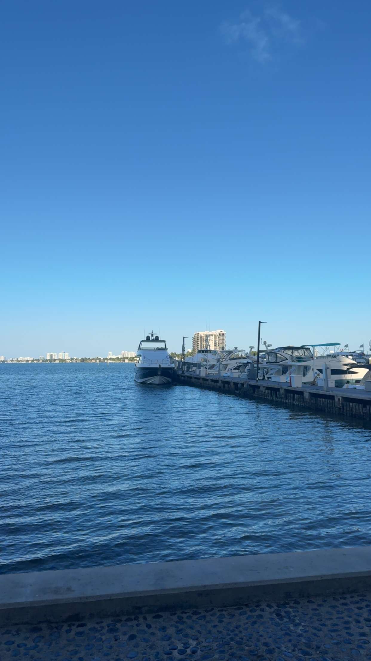 bellarenaldii snapchat image archive image