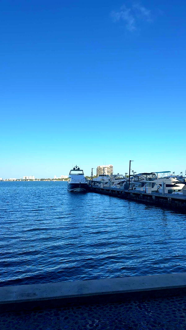 bellarenaldii image ~ Altpins