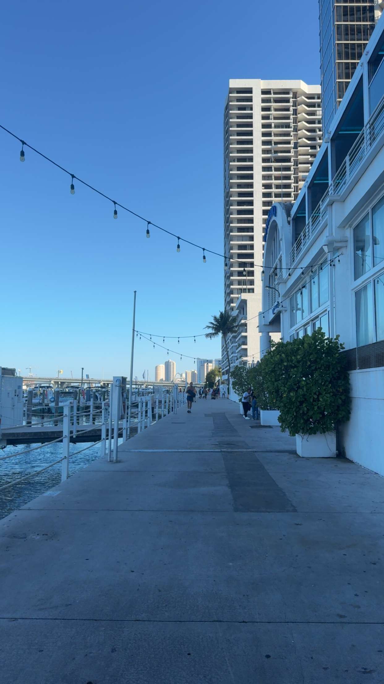 bellarenaldii snapchat image archive image