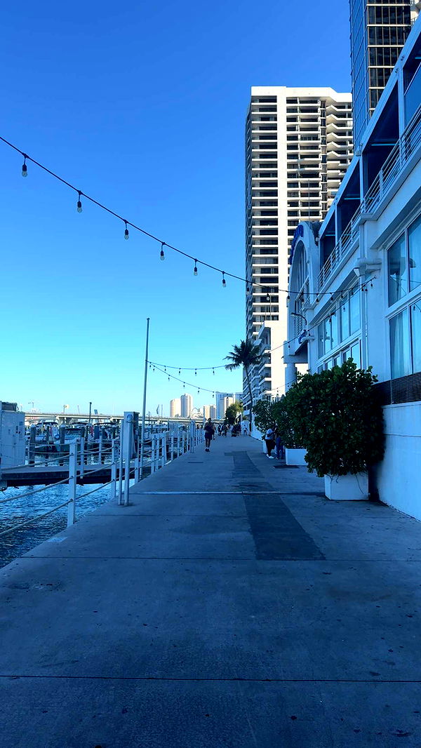 bellarenaldii image ~ Altpins