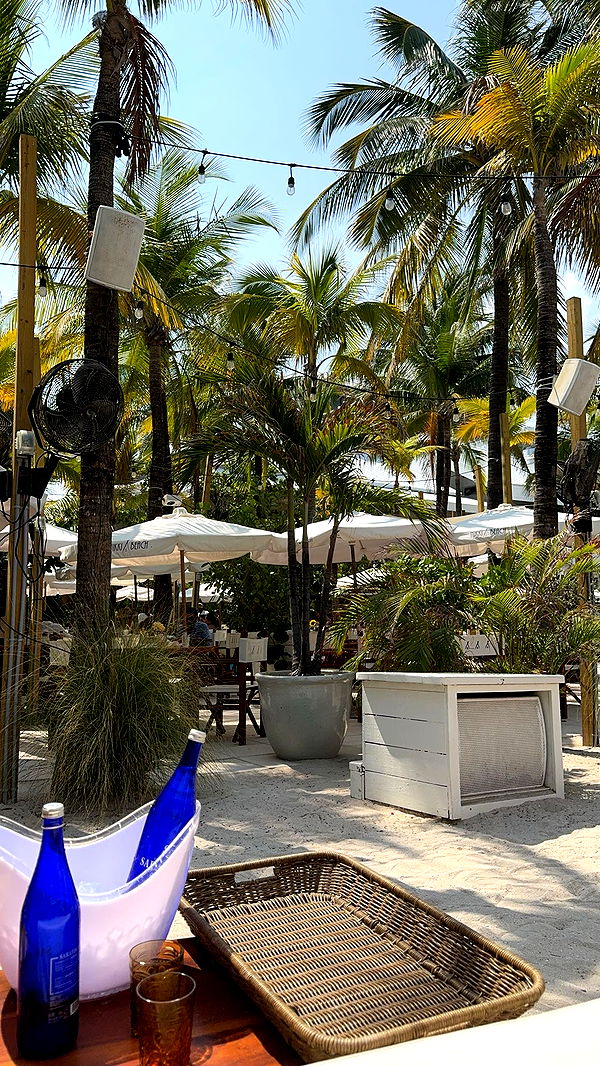 bellarenaldii image ~ Altpins