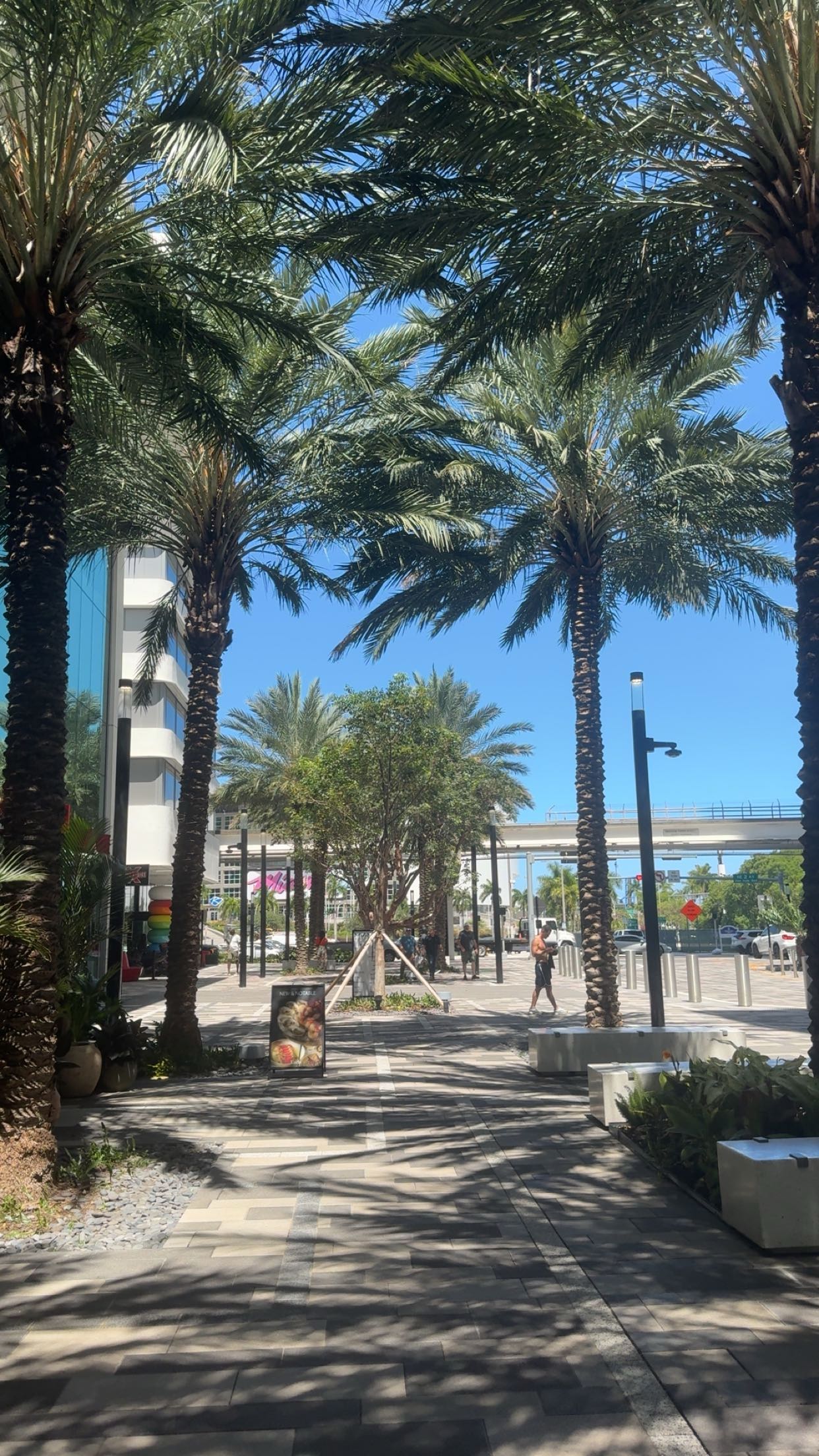 bellarenaldii snapchat image archive image