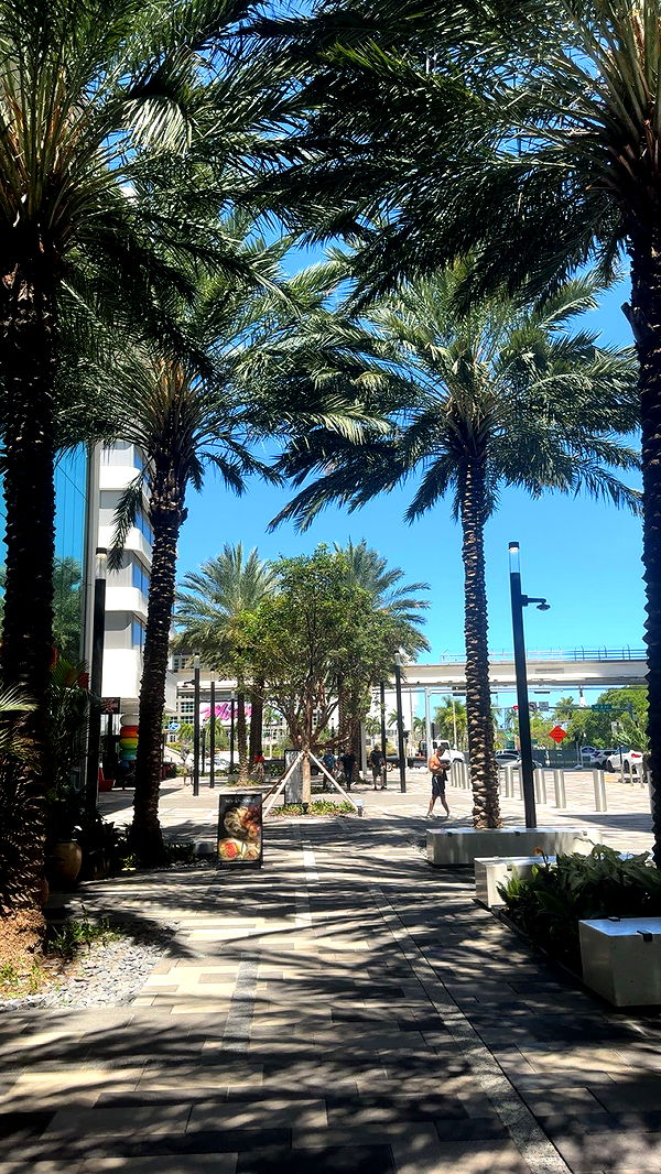 bellarenaldii image ~ Altpins