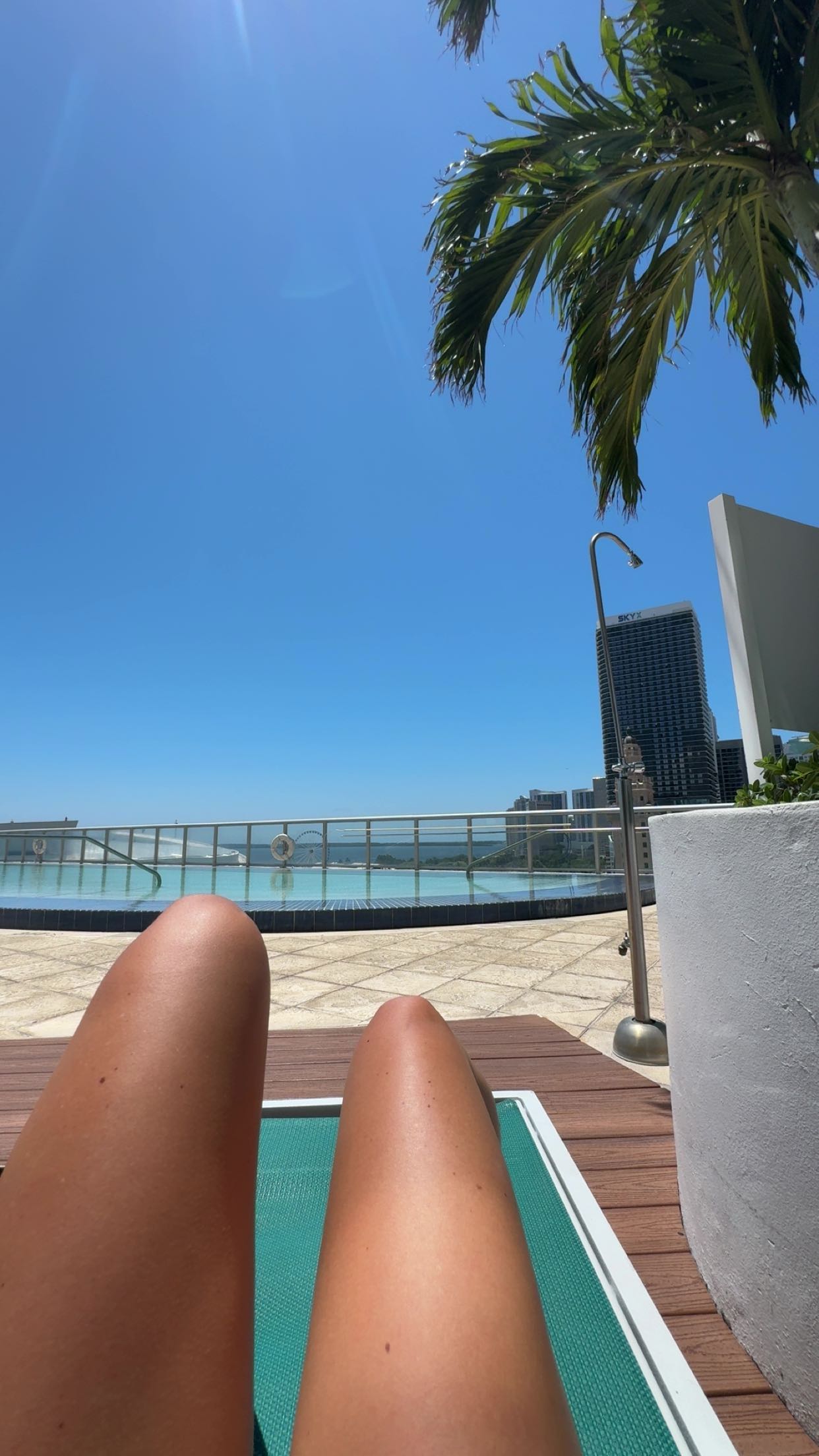 bellarenaldii snapchat image archive image