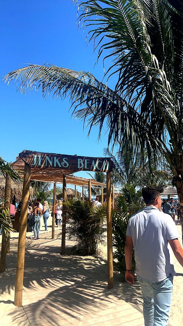 bellarenaldii image ~ Altpins