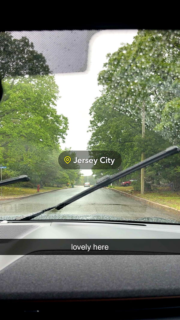 bellarenaldii image ~ Altpins