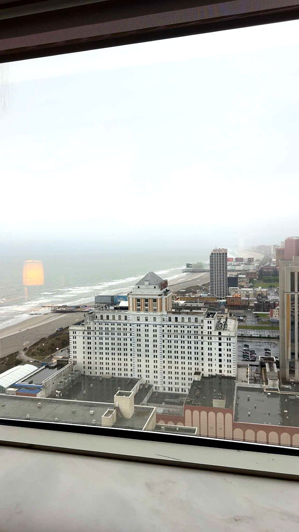 bellarenaldii image ~ Altpins