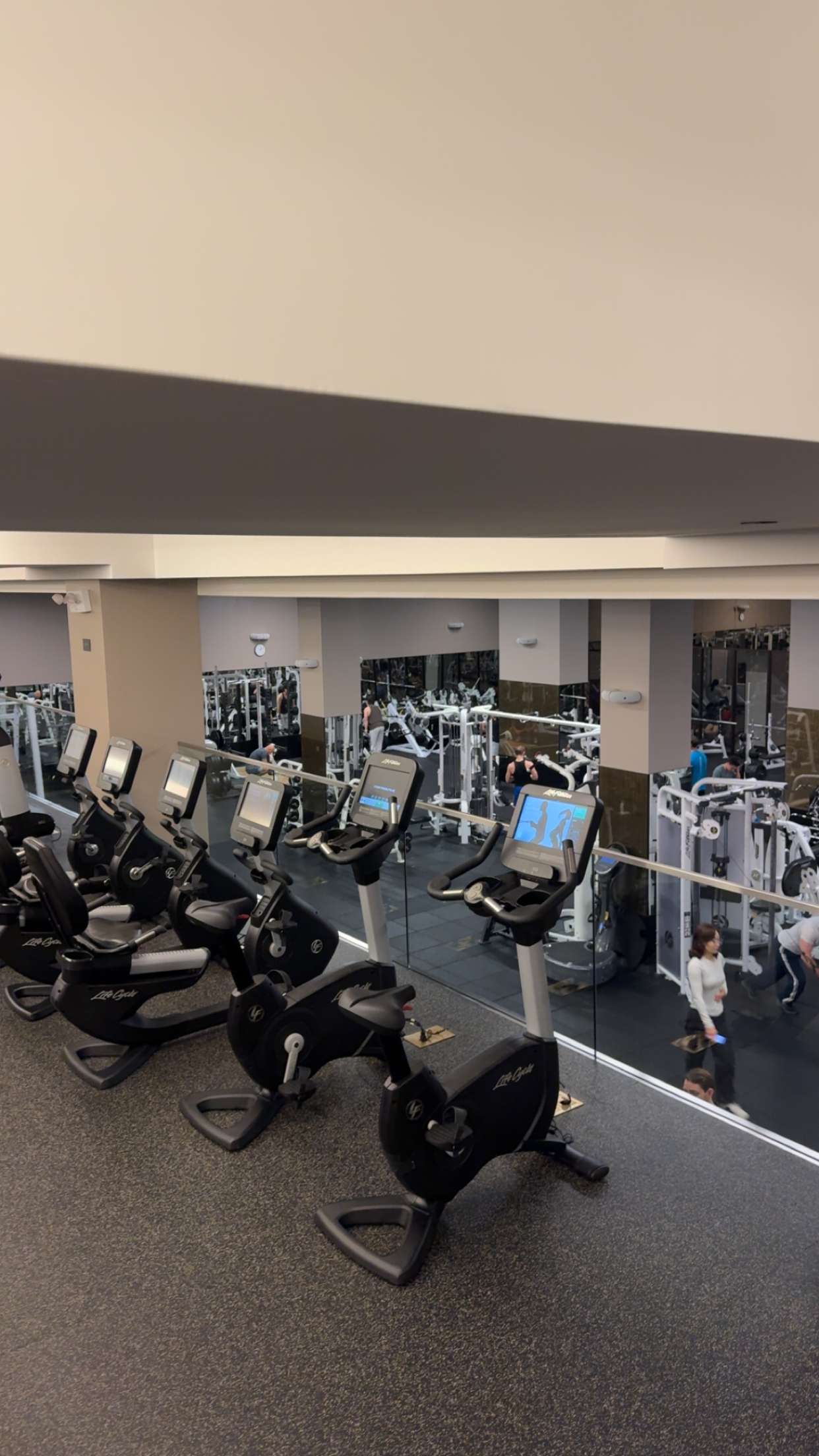 bellarenaldii snapchat image archive image