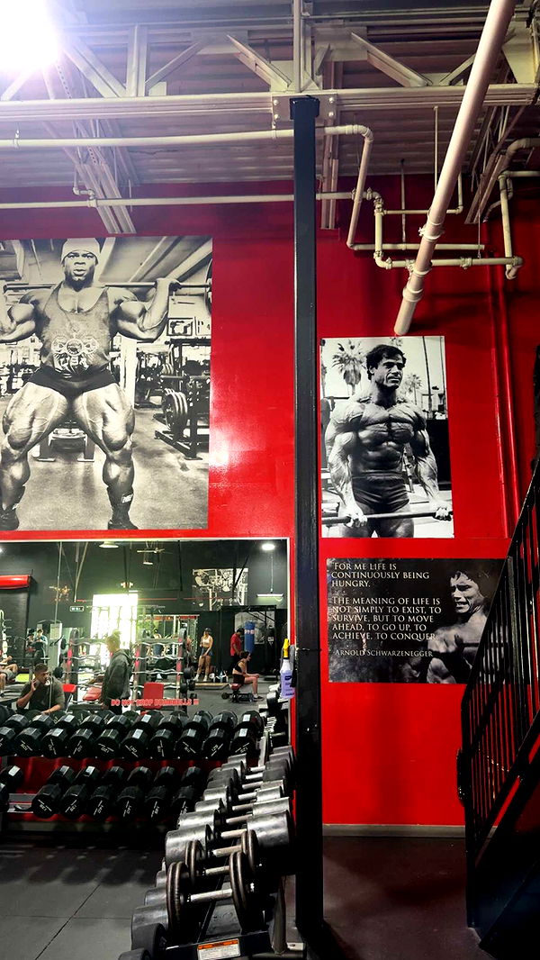 bellarenaldii image ~ Altpins