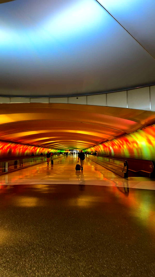 bellarenaldii image ~ Altpins