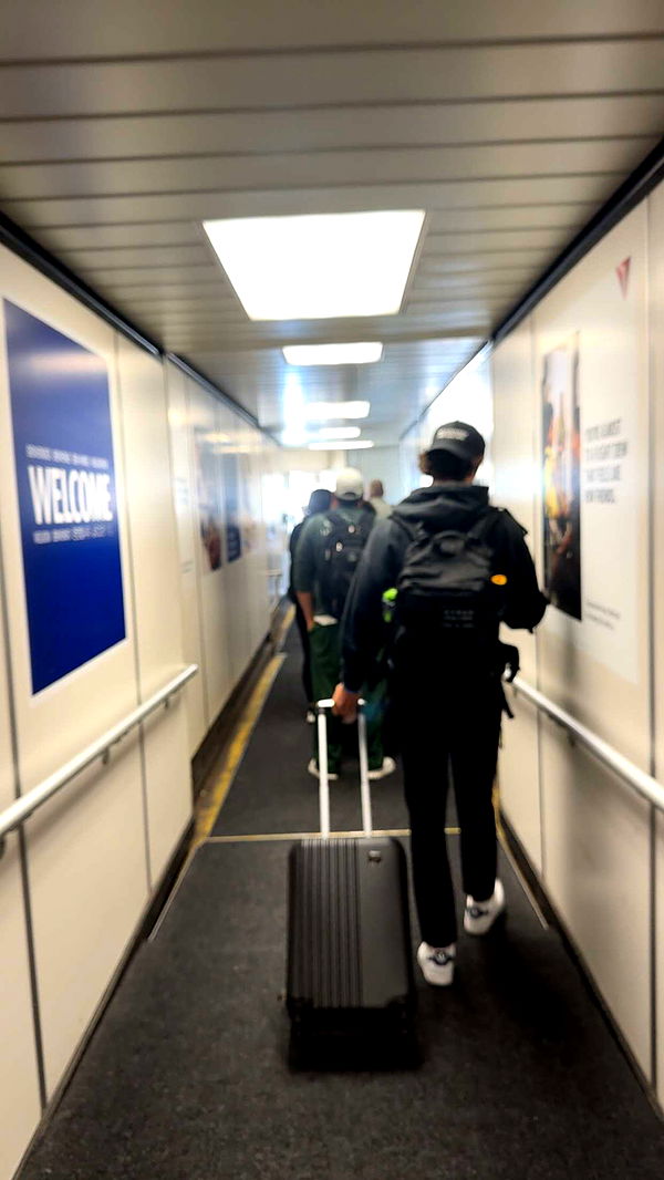 bellarenaldii image ~ Altpins