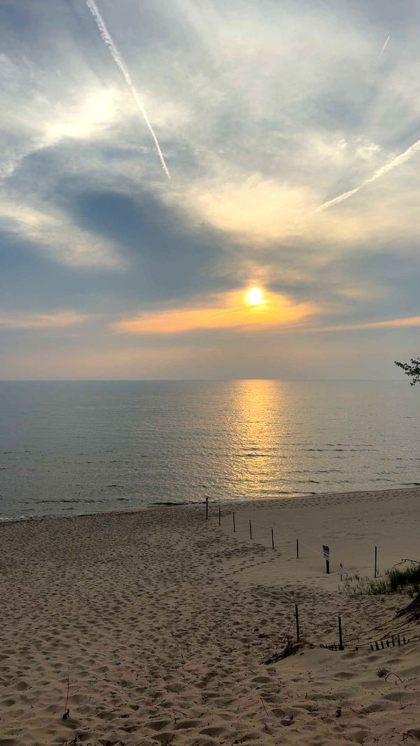 bellarenaldii image ~ Altpins