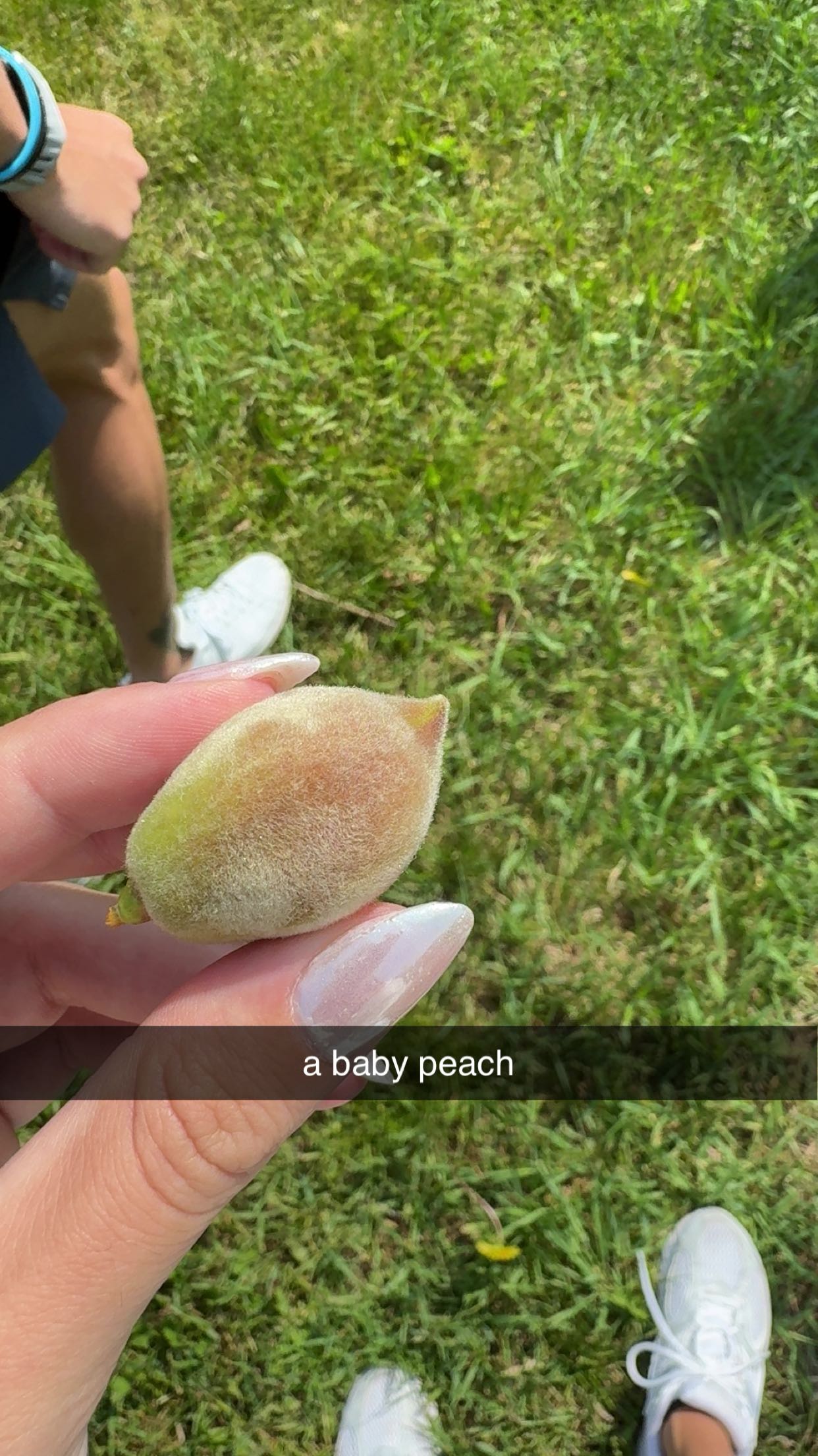 bellarenaldii snapchat image archive image