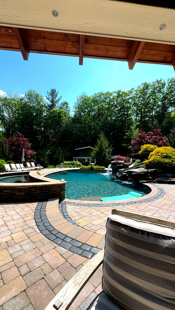 bellarenaldii image ~ Altpins