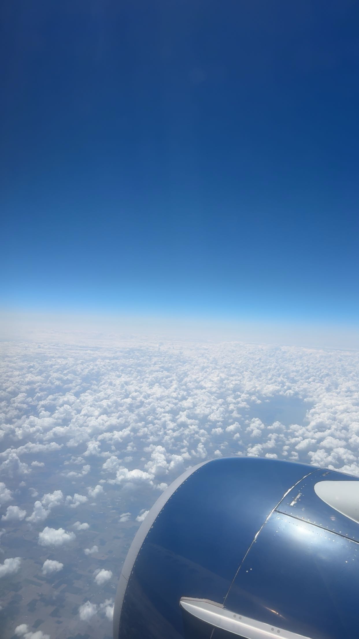 bellarenaldii snapchat image archive image