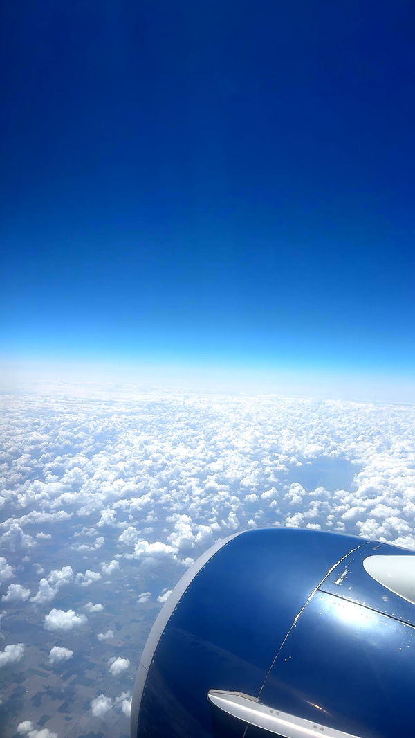 bellarenaldii image ~ Altpins