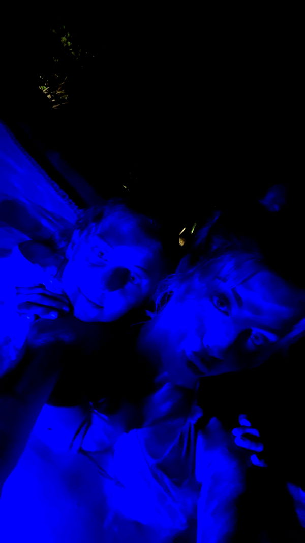 bellarenaldii image ~ Altpins