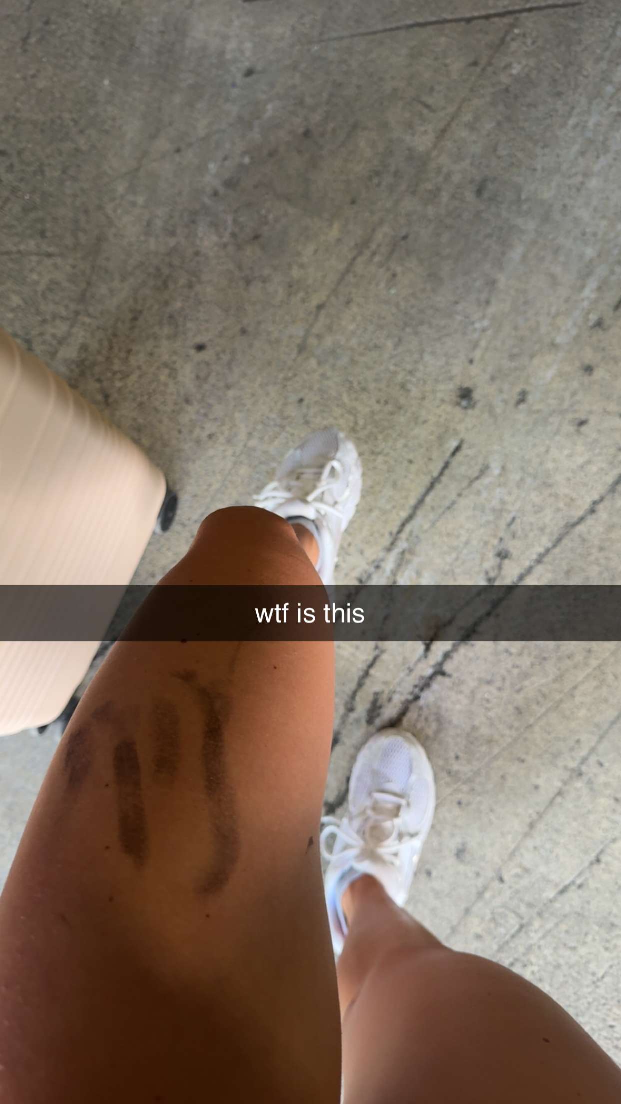 bellarenaldii snapchat image archive image