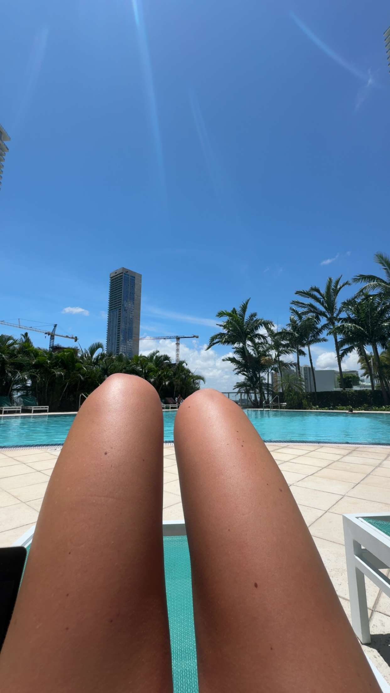 bellarenaldii snapchat image archive image