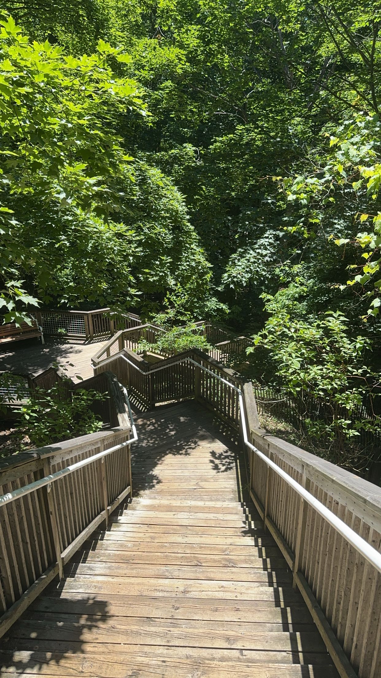 bellarenaldii snapchat image archive image