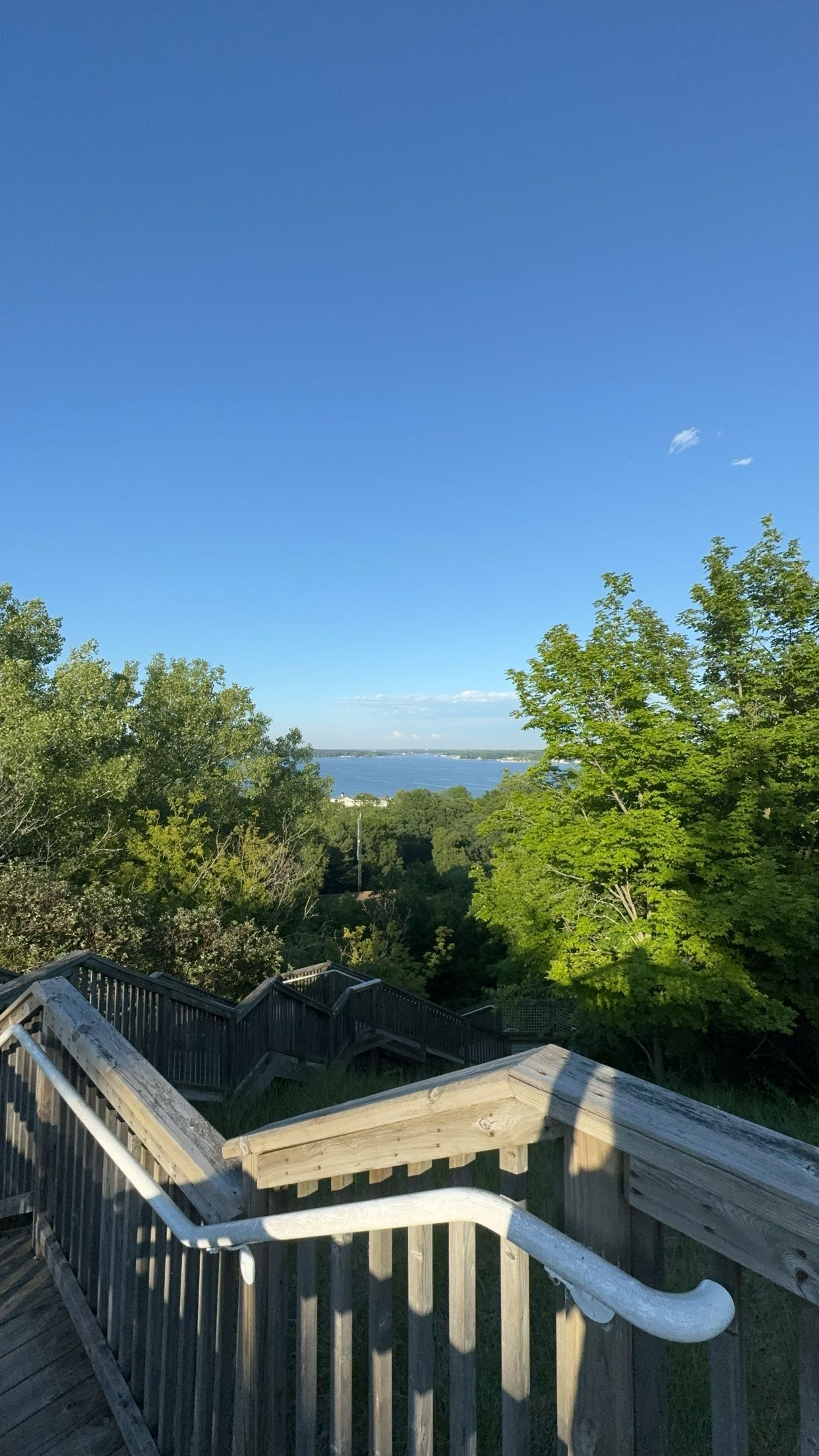 bellarenaldii snapchat image archive image