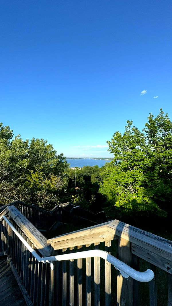 bellarenaldii image ~ Altpins