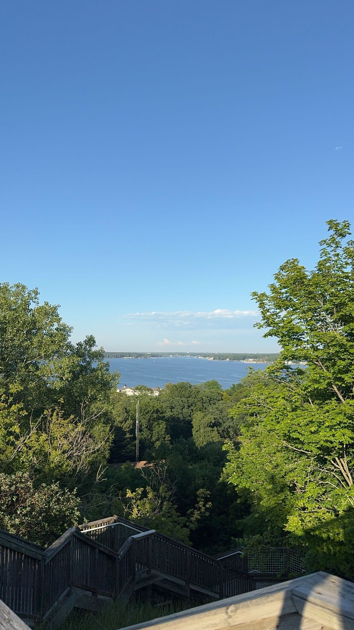 bellarenaldii snapchat image archive image