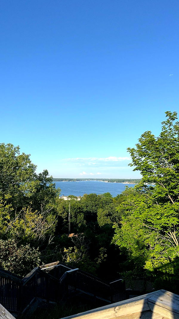 bellarenaldii image ~ Altpins