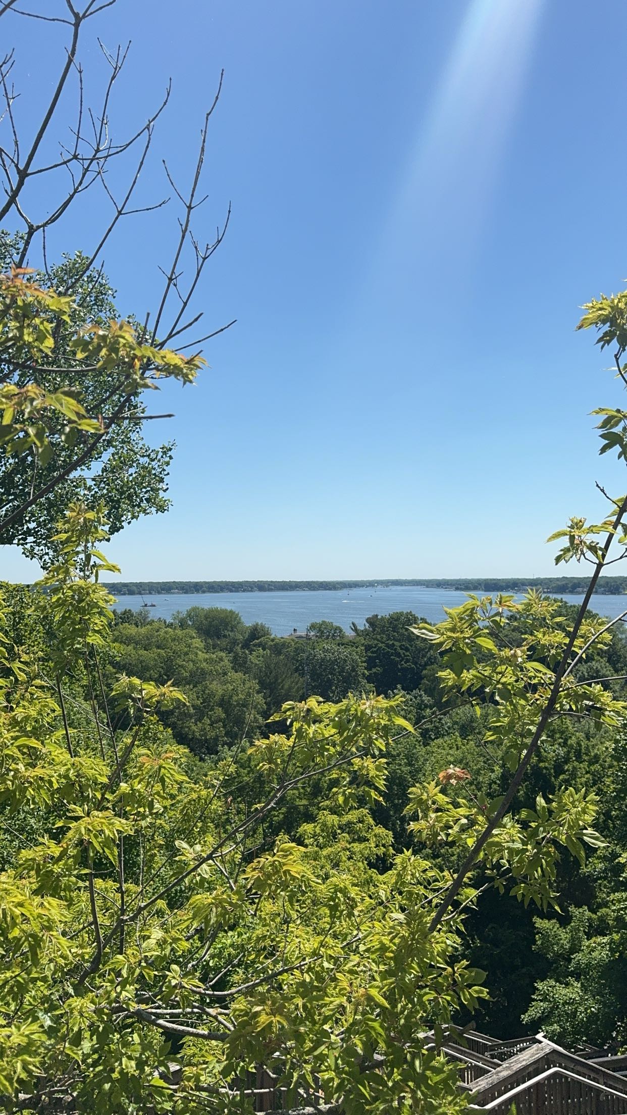 bellarenaldii snapchat image archive image