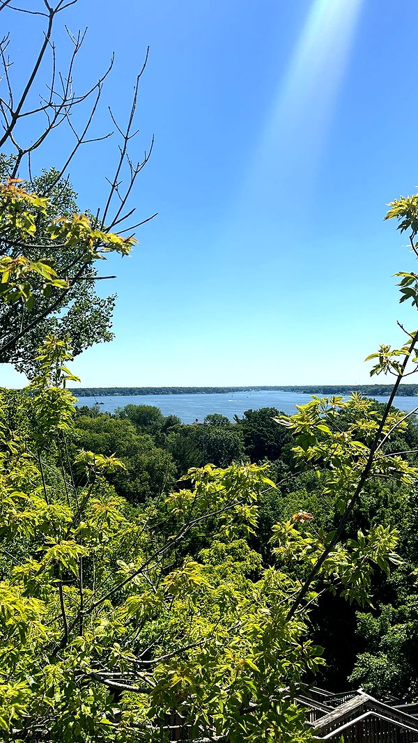 bellarenaldii image ~ Altpins