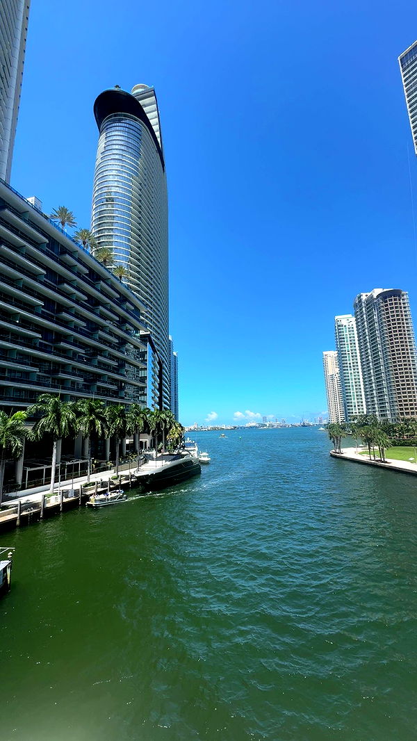 bellarenaldii image ~ Altpins