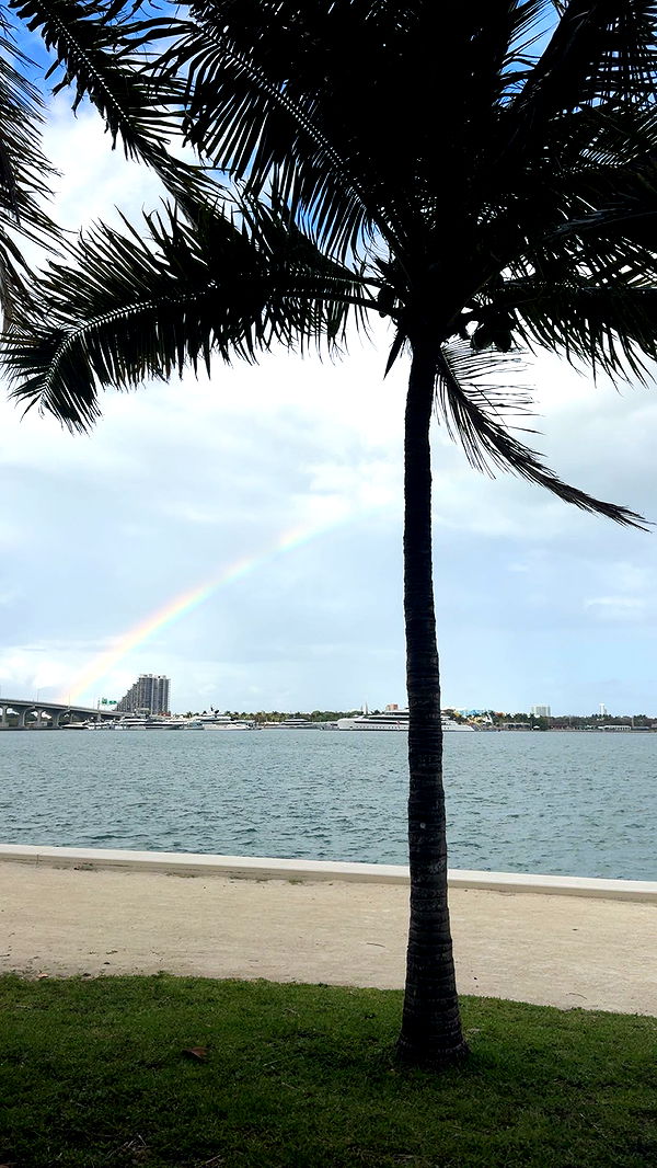 bellarenaldii image ~ Altpins