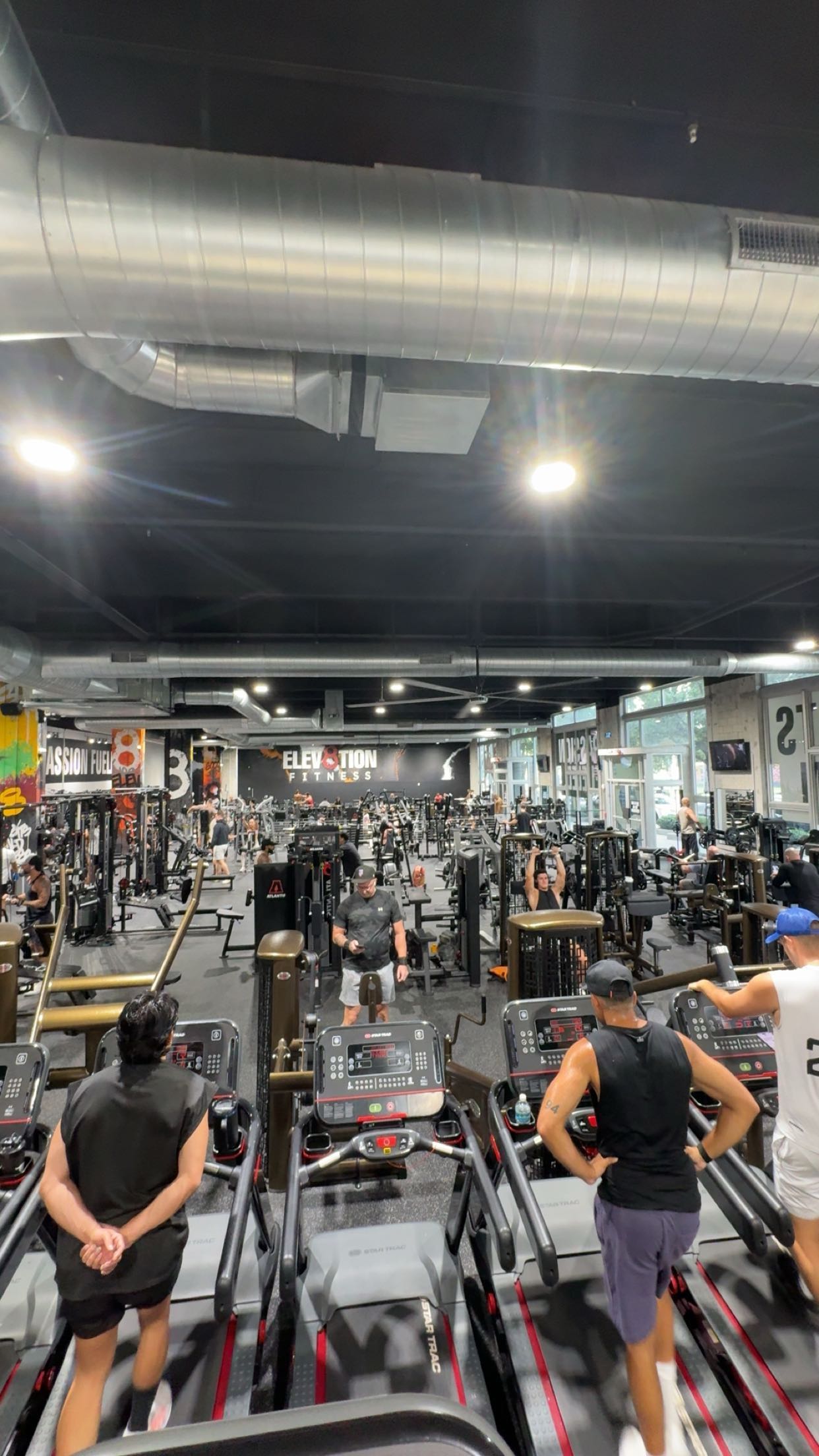 bellarenaldii snapchat image archive image