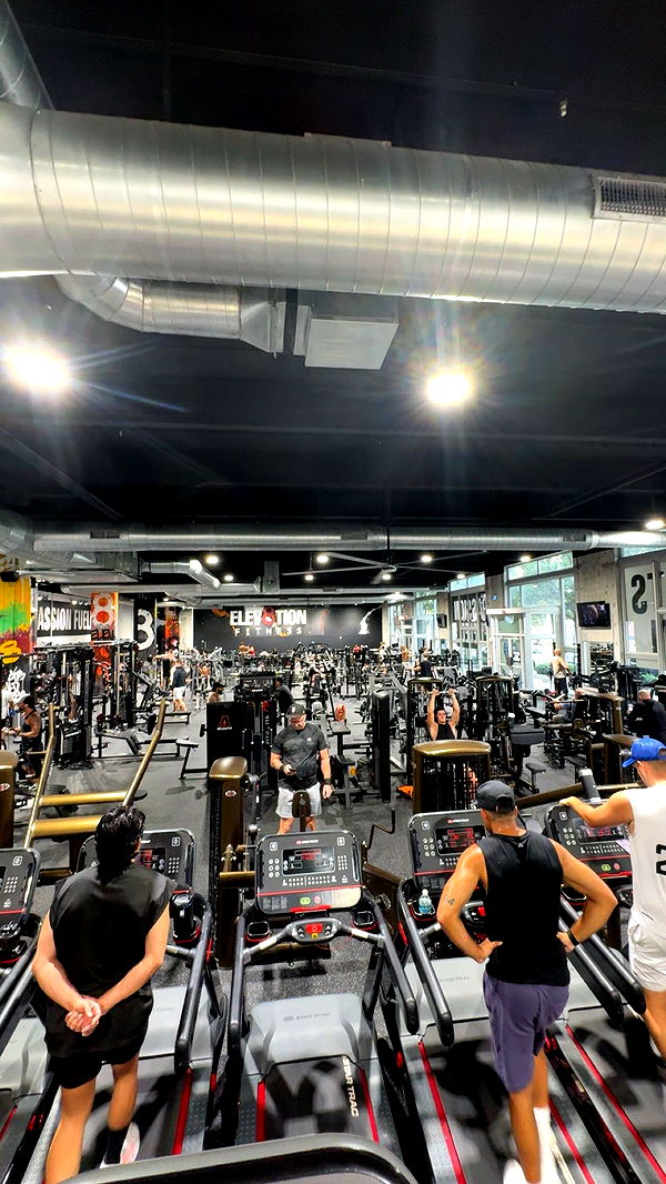 bellarenaldii image ~ Altpins