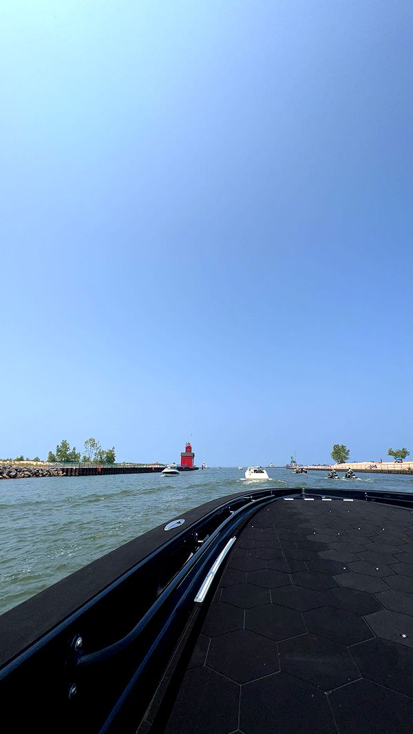 bellarenaldii image ~ Altpins