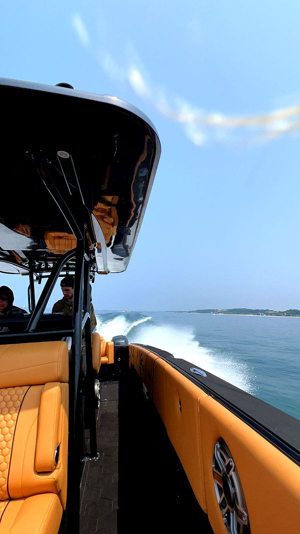 bellarenaldii image ~ Altpins