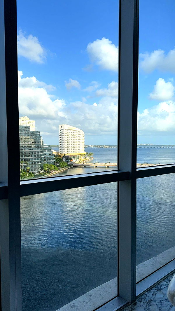 bellarenaldii image ~ Altpins