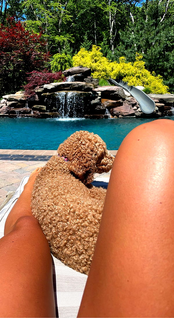 bellarenaldii image ~ Altpins