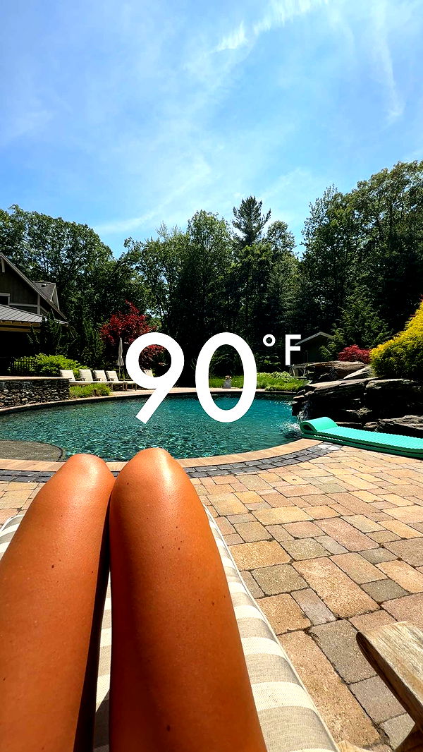 bellarenaldii image ~ Altpins