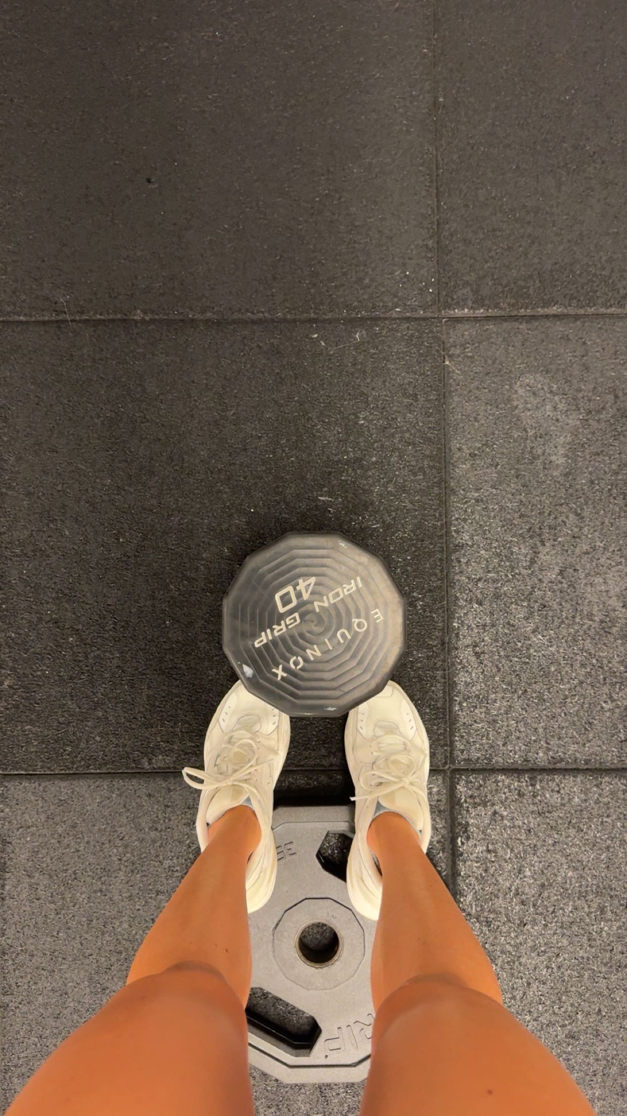 bellarenaldii snapchat image archive image