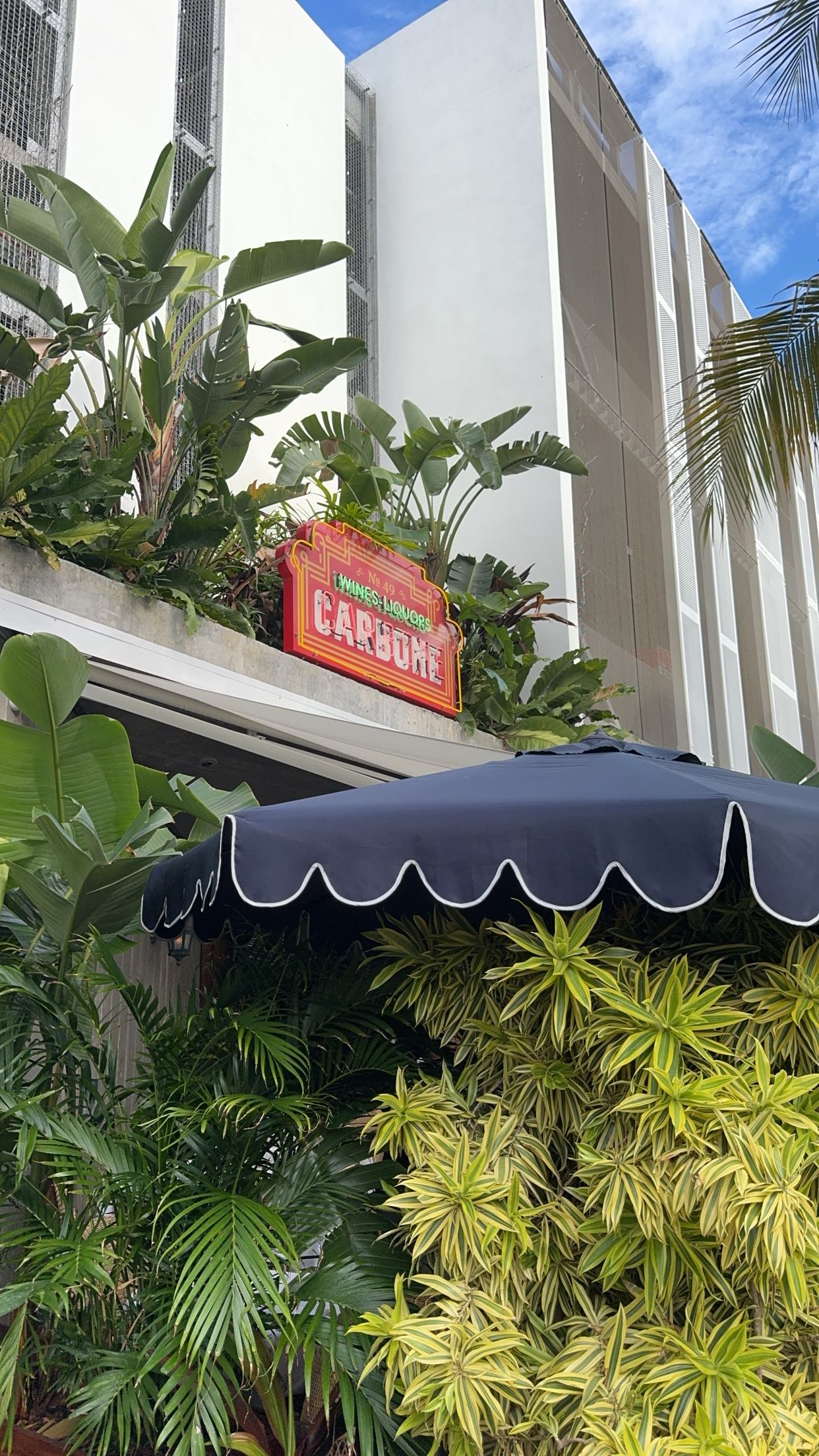 bellarenaldii snapchat image archive image