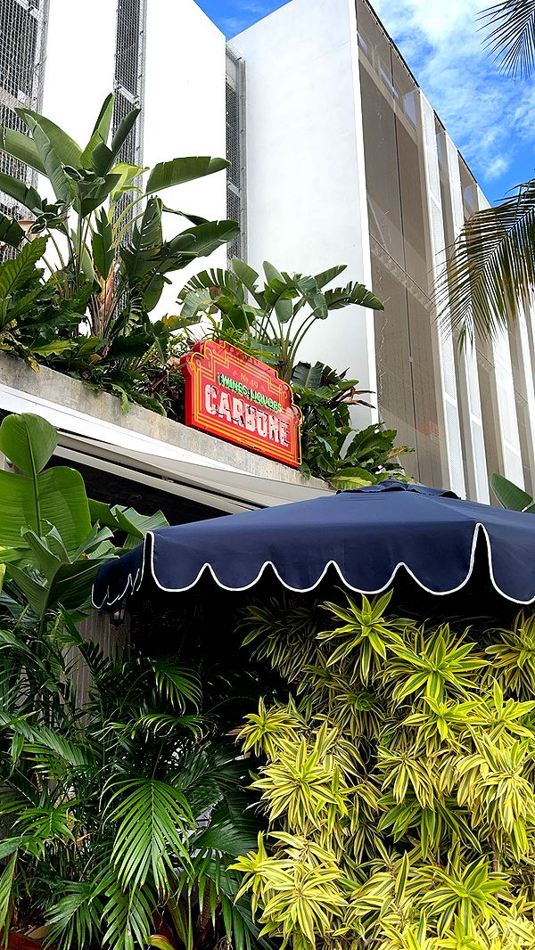 bellarenaldii image ~ Altpins