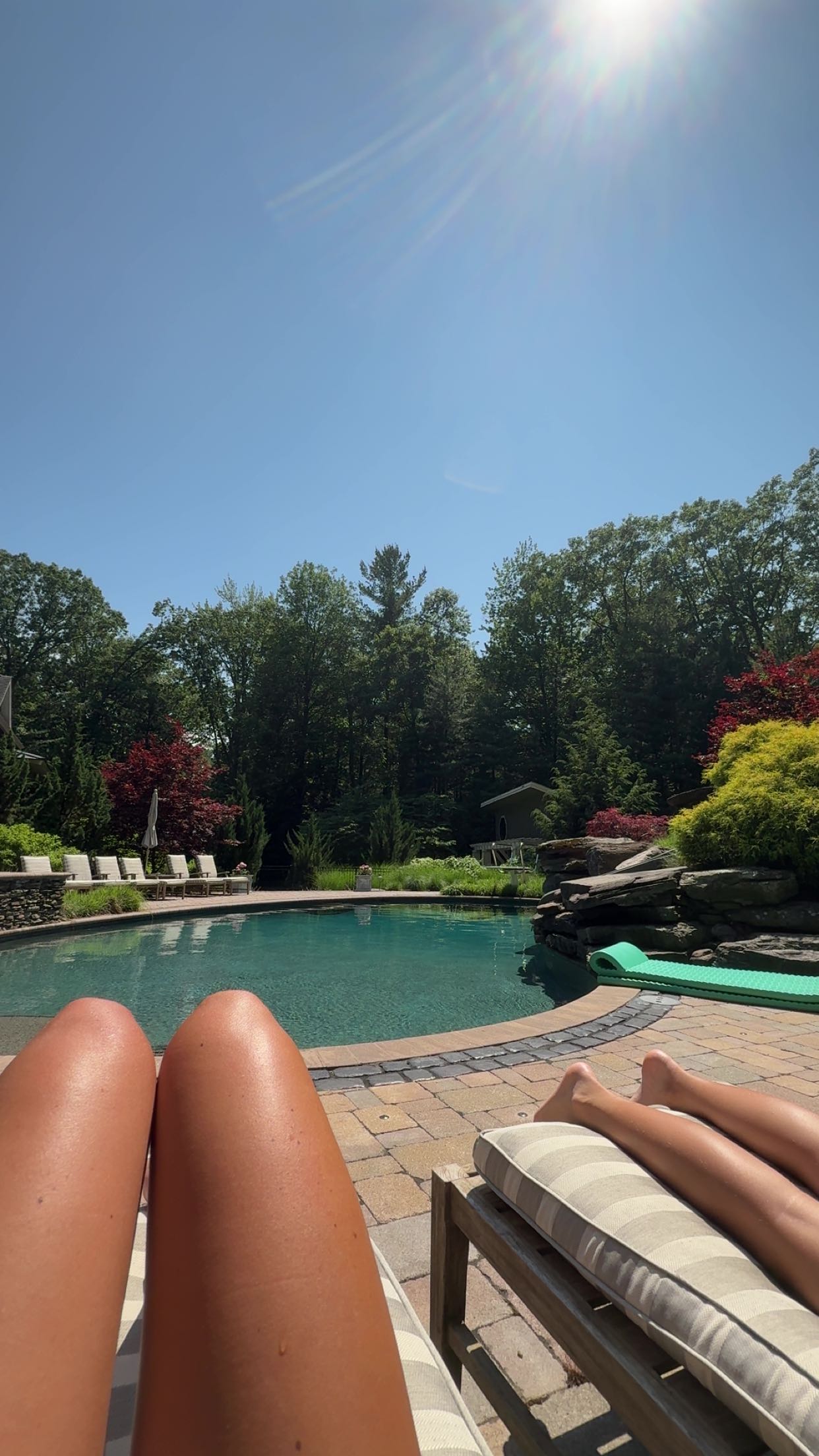 bellarenaldii snapchat image archive image