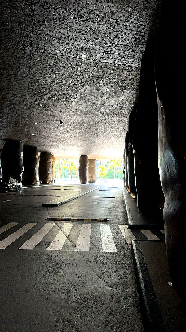 bellarenaldii image ~ Altpins