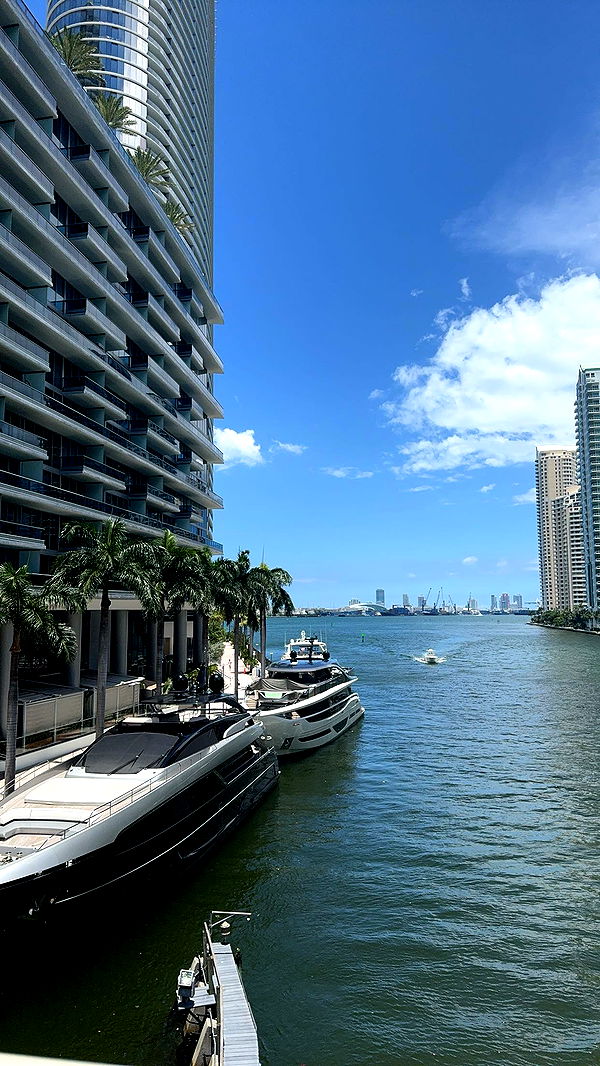 bellarenaldii image ~ Altpins