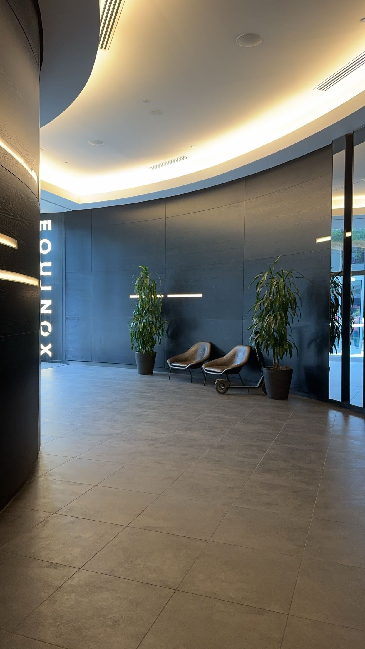 bellarenaldii snapchat image archive image