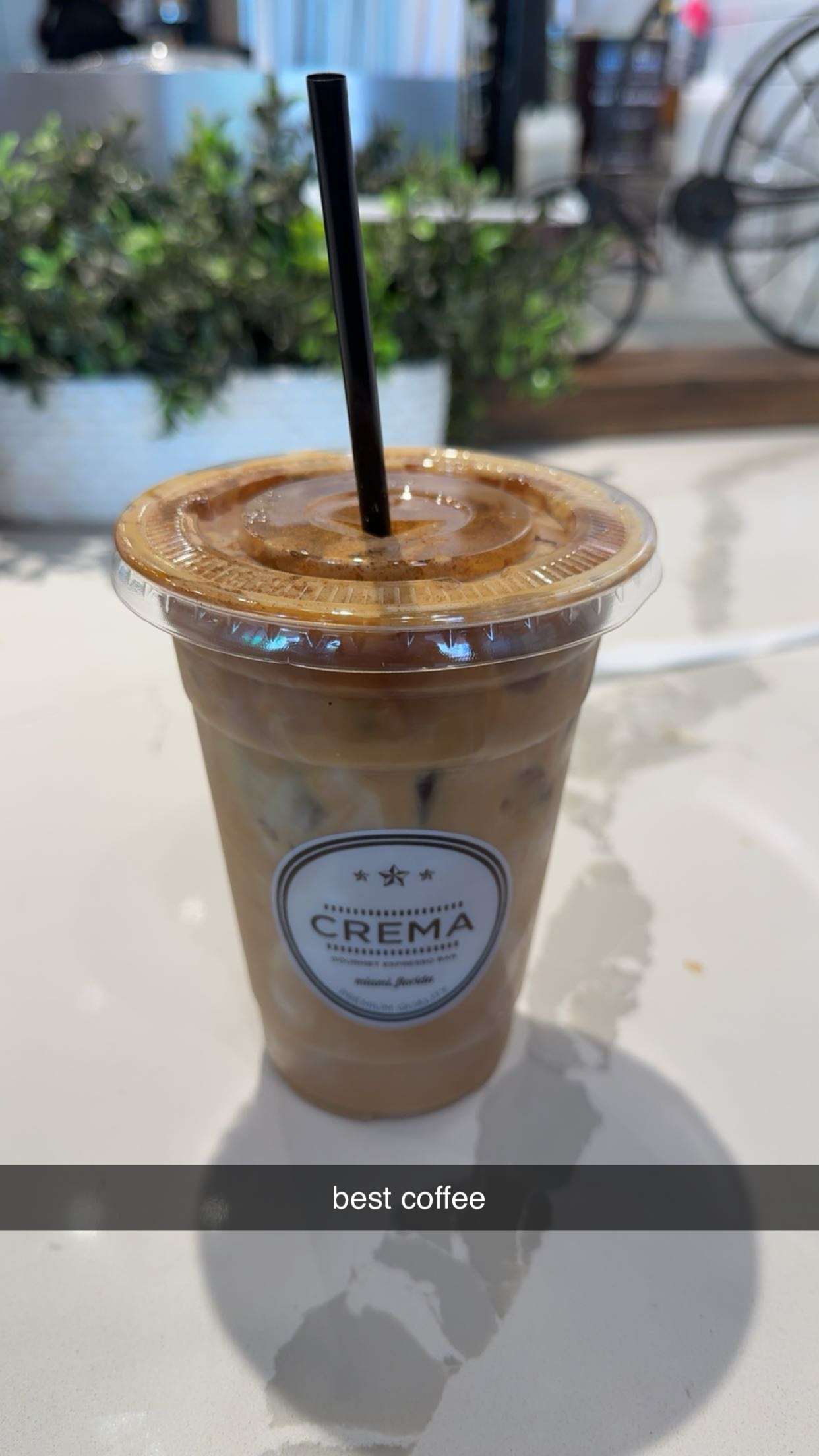 bellarenaldii snapchat image archive image