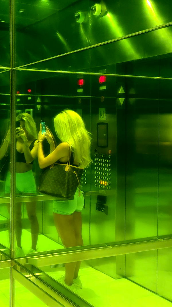 bellarenaldii image ~ Altpins